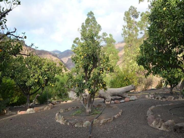 Casa Colonia Lägenhet Mogán Exteriör bild