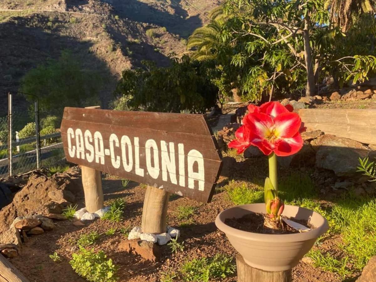 Casa Colonia Lägenhet Mogán Exteriör bild